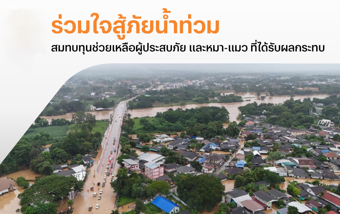 donation-banner-20241001-700X400
